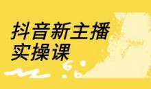 抖音新主播实操课,直播间流量运营线上实操课(18节)