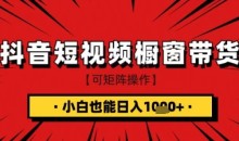抖音短视频食品橱窗带货,小白轻松上手日入1k+【揭秘】
