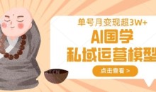 AI国学私域运营模型,单号月变现过W