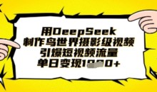 用DeepSeek制作鸟世界摄影级视频,引爆短视频流量,单日变现1k