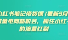 张宾小红书笔记带货课(更新25年3月)流量电商新机会,抓住小红书的流量红利