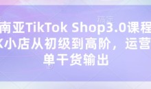 东南亚TikTok Shop3.0课程,TK小店从初级到高阶,运营出单干货输出