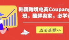 韩国跨境电商Coupang高阶班,酷胖卖家,必学课程