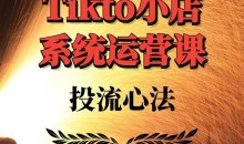 TikTok小店系统运营课:Allen-TK投流技法全攻略,包括广告命名 扩量手法及市场运营方法