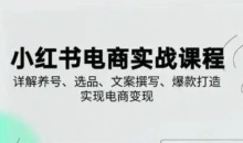 小红书从0-1实操课2025养号、选品、文案撰写、爆款打造实现电商变现