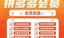 2025拼多多运营实战课,40节全流程教学,覆盖拼多多运营全链路