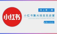 小红书聚光陪跑第一期,教你从0到1玩转小红书聚光投流,搭建小红书付费投流团队,更快的见到效果