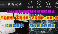 抖音最新视频展现形式,不拍视频、不剪视频、依靠图片+文案助推热门,引爆创业粉