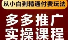 拼多多推广实操课程,从小白到精通付费玩法