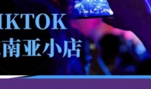 Tiktok东南亚跨境小店运营班,一门专业的TK小店运营培训课