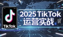 2025TikTok电商运营,掌握TikTok店铺运营核心技巧,实现低成本高转化