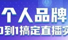 个人品牌:从0到1搞定直播实操,用直播为你的个人品牌赋能,六大实操板块,放大个人影响力