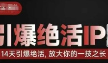 引爆绝活IP训练营14天引爆绝活,放大你的一技之长