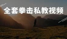 全套拳击私教视频 武术搏击