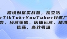 跨境创富实战营,独立站+TikTok+YouTube+谷歌广告,经营策略,店铺运营,精准选品,高效引流