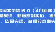 抖音图文带货16.0基础+精英课,新增原创实拍、视频混剪、选品实操,各细分赛道实操