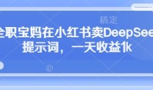 全职小白在小红书卖DeepSeek提示词,一天收益1k