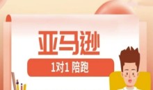 亚马逊1对1陪跑课(FBA/FBM精铺)跨境亚马逊教程