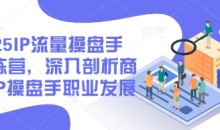2025IP流量操盘手训练营,深入剖析商业IP操盘手职业发展