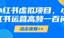 小红书虚拟项目,小红书运营高频一百问【文档】