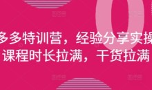 拼多多特训营,经验分享实操,课程时长拉满,干货拉满(更新25年4月)