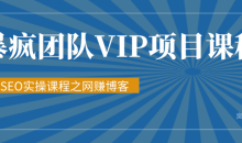 暴疯团队VIP赚钱项目教程之(SEO实操课程之网赚博客)