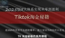TikTok跨境2025淘金秘籍,2025TikTok从0到盈利变现