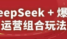 DeepSeek+爆品运营组合玩法,2025淘系精品课