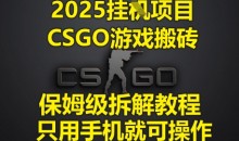 2025挂G项目,CSGO游戏搬砖,保姆级拆解教程,只用手机就可操作【揭秘】