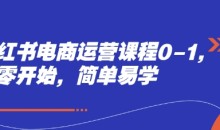 小红书电商运营课程0-1,从零开始,简单易学