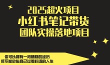 2025超火项目,小红书笔记带货团队实操落地项目,轻松日入5张