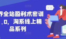 无界全站盈利术密训22.0,淘系线上精品系列