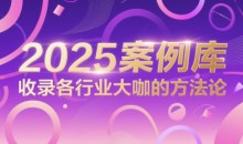 2025案例库,收录各行业大咖的方法论