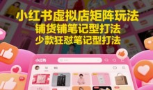 小红书虚拟店矩阵玩法,铺货铺笔记型打法,少款狂怼笔记型打法(更新)