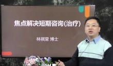 林祺堂 焦点解决短期心理咨询师(SFBT)网络视频课程+课件