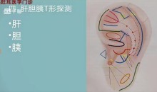 张福旺精讲耳穴诊断班