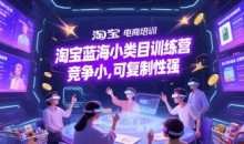 淘宝蓝海小类目训练营, 竞争小可复制性强