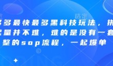 波仔电商-拼多多最快最多黑科技玩法,拼多多起量并不难,难的是没有一套完整的sop流程,一起爆单(更新6月)