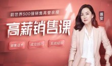 薇安 18节高薪销售课