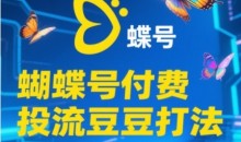 2025蝴蝶号付费投流豆豆打法,助新手快速掌握付费流量撬动自然流的核心玩法