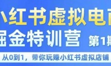 锋声小红书虚拟电商掘金特训营第1期,从0到1,带你玩转小红书虚拟店铺