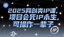 2025网创类IP课,项目会死IP永生可操作一辈子