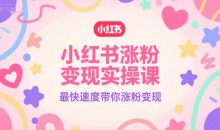 小红书涨粉变现实操课,最快速度带你涨粉变现