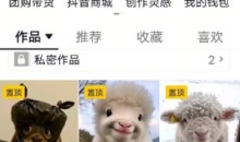 抖音65W博主AI萌宠课程,新赛道流量大,原创+二创全套课程+提示词