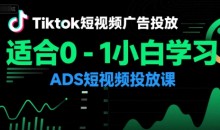 万三老师Tiktok短视频广告投放,适合0-1小白学习ADS短视频投放课