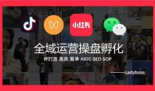 Ladyboss全域运营操盘孵化IP打造,高效 简单 AIGC SEO SOP