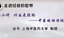 走进经络的世界-上海中医药大学【徐平】