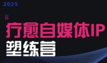 2025治愈自媒体IP训练营,专为疗愈领域从业者打造