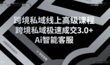 跨境私域线上高级课程,跨境私域极速成交3.0+Ai智能客服