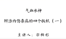 灵兰 宋柏杉 气血水神:辩治内伤杂病的“四个扳机”